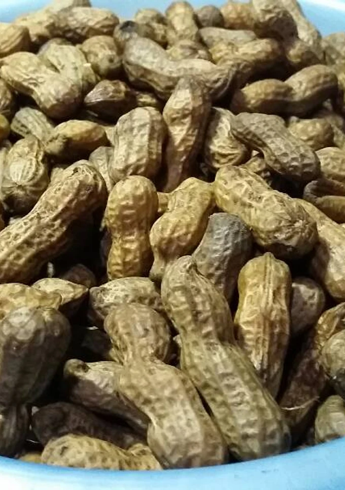 Kacang Rebus (Kacang Godog)