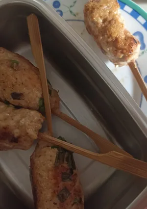 Chicken kebab satset