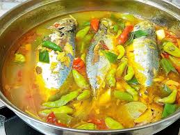 Ikan Hias Molly